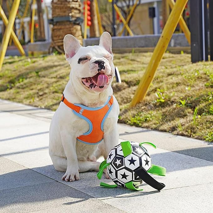 Pet Football Toy