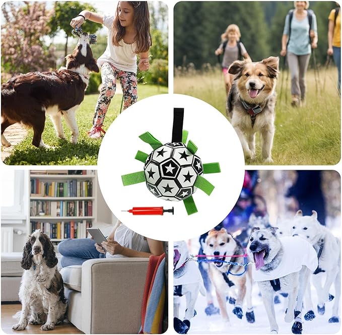 Pet Football Toy