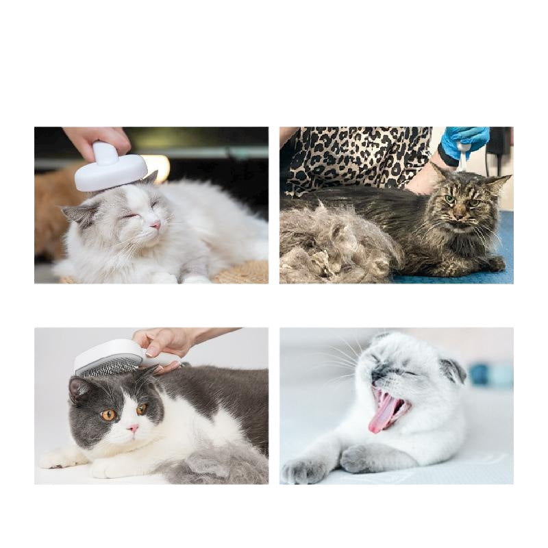 Pet cat and dog hair comb, deep remove floating hair; dog brush cat, brush long hair